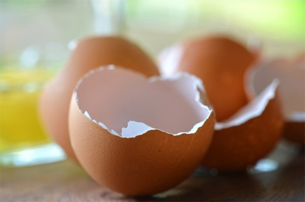 Sản phẩm có thành phần chính từ màng vỏ trứng giúp cải thiện viêm khớp gối